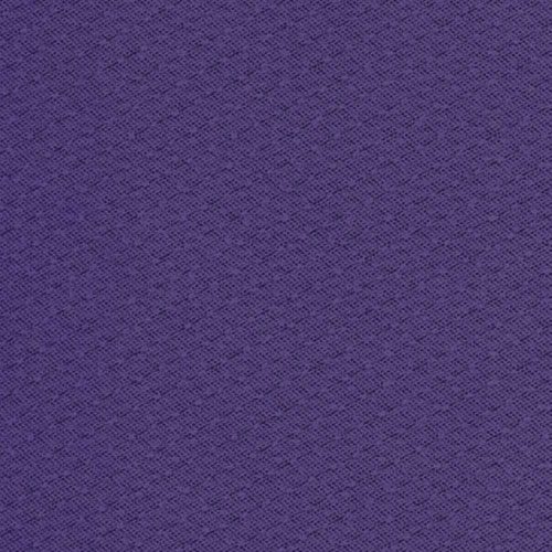 紫蒲桃 grape purple